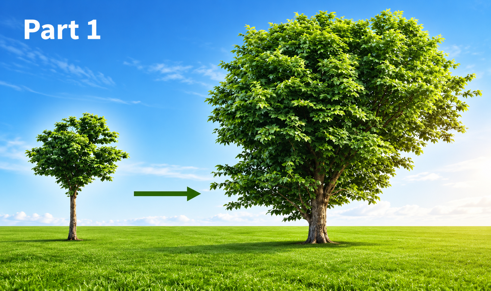 How to make your mission and vision your most profitable investment!